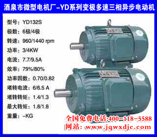 YDϵ�б伫���ٵ����첽�綯�� YD132S