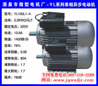 2.2KW �ļ� YLϵ�е����첽�綯�� YL100L1-4