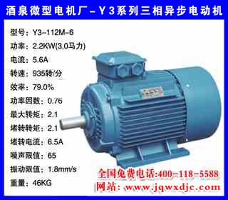 2.2KW ���� Y3ϵ�������첽�綯�� Y3-112M-6