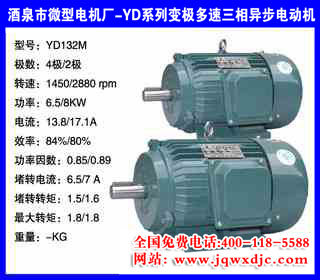 YDϵ�б伫���ٵ����첽�綯�� YD132M
